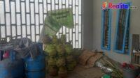 IMG-20260604-WA0162